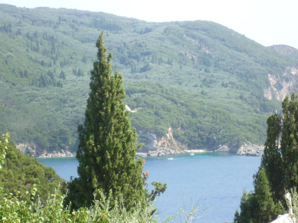 Noufaro Paleokastritsa